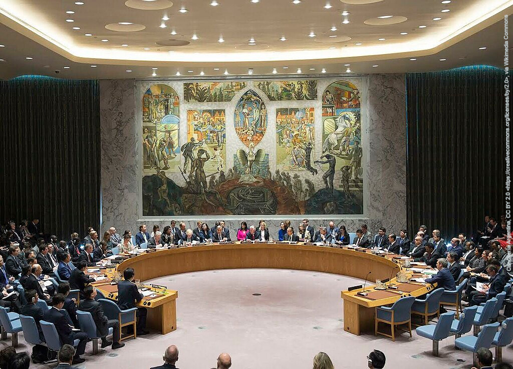 United Nations Security Council 2017