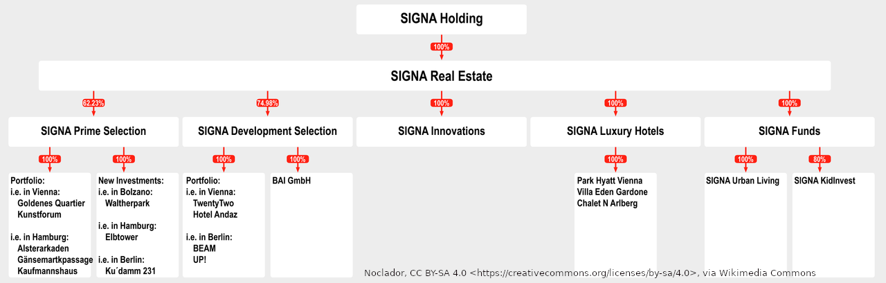 Signa Holding Verflechtungen