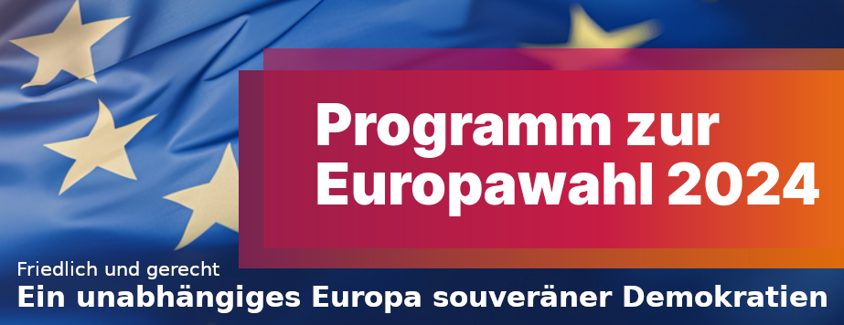 BSW Programm zur Europawahl