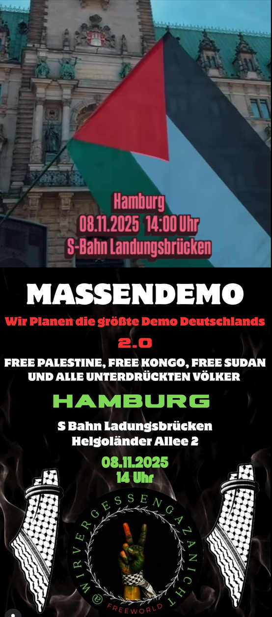 Pali DemoHH8.11.2025